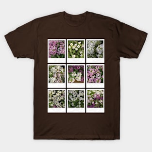 Assylum Photo Collection [full set bundle] T-Shirt